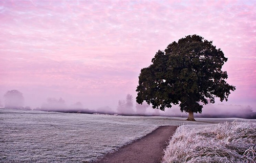 摄影艺考培训构节奏感