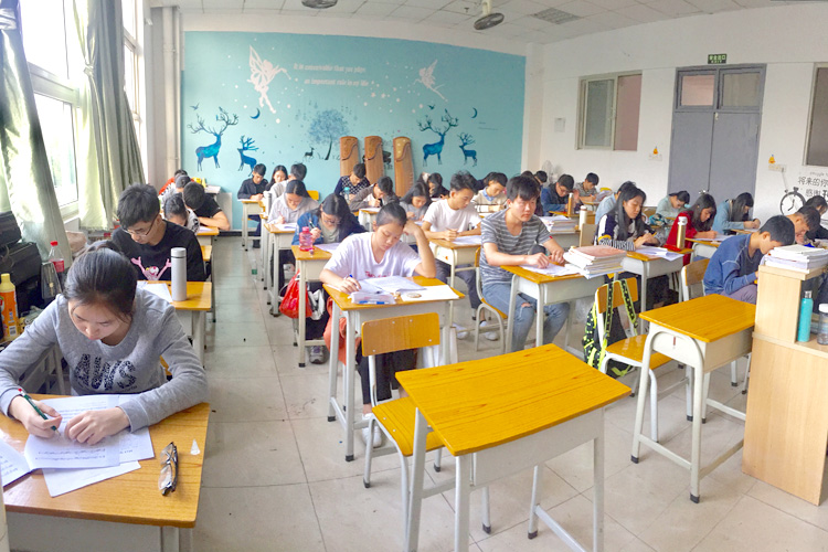 广州传媒艺考培训多芬传媒艺考