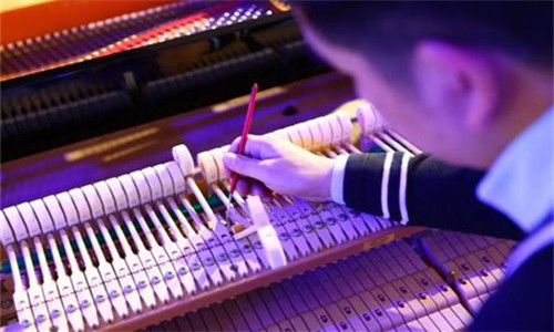 音乐艺考专业全解析多芬艺考指南