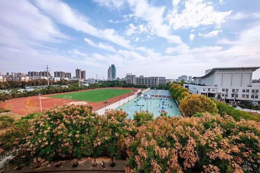 武汉设计工程学院2019年各省录取分数统计