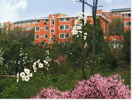 四川文化艺术学院2020年省外艺术类招生简章