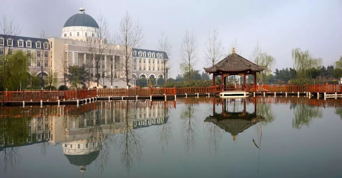 四川大学锦城学院2020年艺术类招生简章