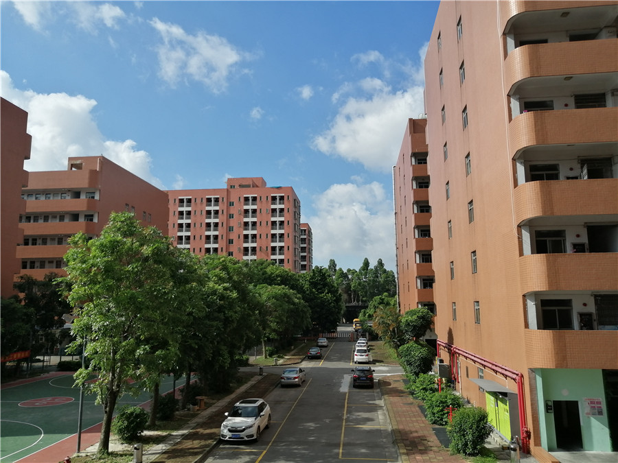 传媒艺考机构多芬传媒校园