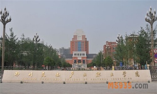 2020四川文化学院校园风光三