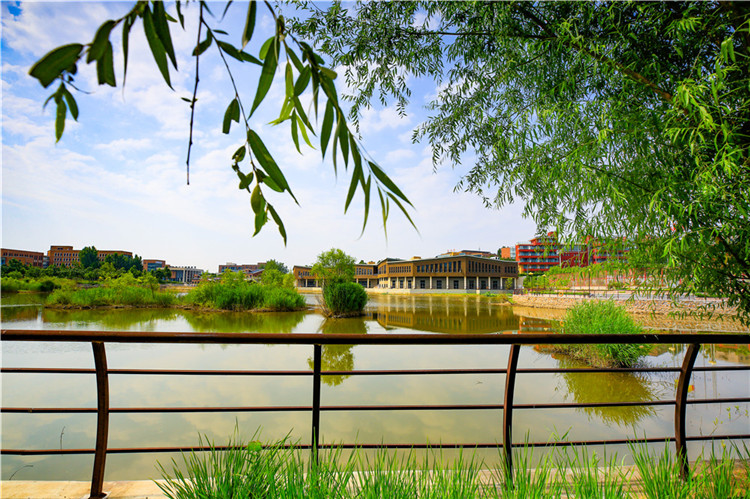 天津体育学院运动与文化艺术学院2020年艺术类校考考试内容