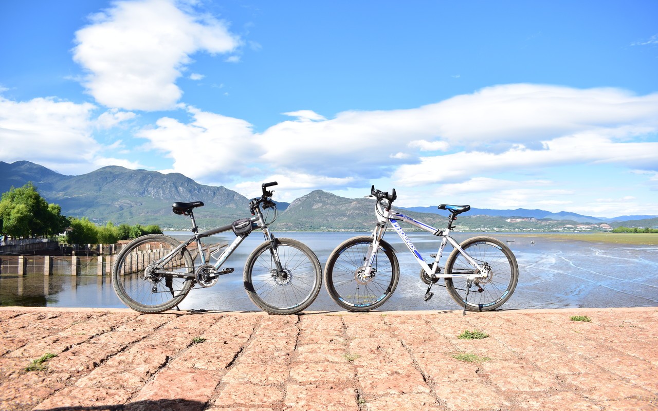 2018年广东省体育类本科录取投档情况 2018年广东省体育类本科录取投档情况