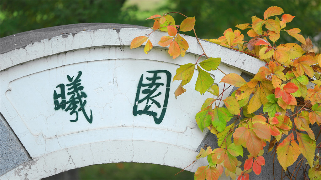 2022年北京师范大学艺术类招生简章