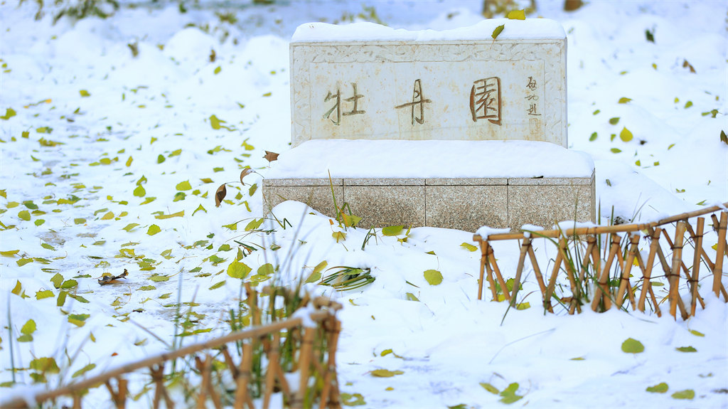 2022年北京师范大学艺术类招生简章