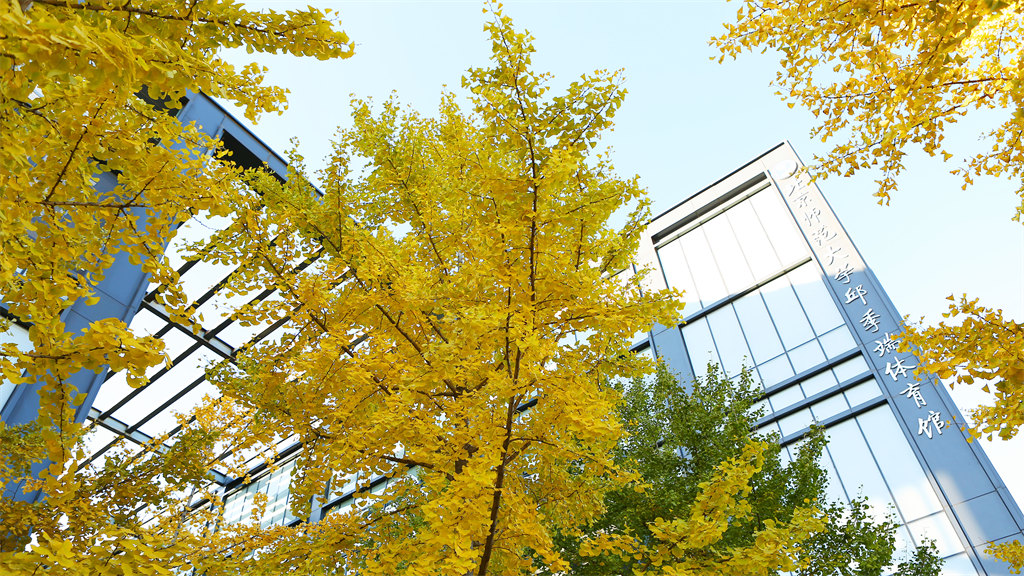 2022年北京师范大学艺术类招生简章