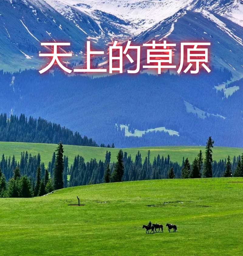 影视表演自备稿件《天上的草原》