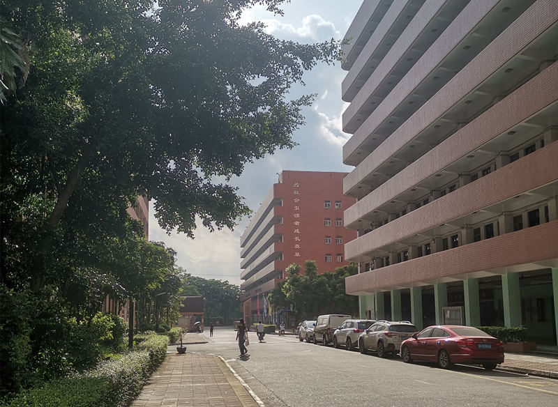 深圳多芬传媒艺考怎么样