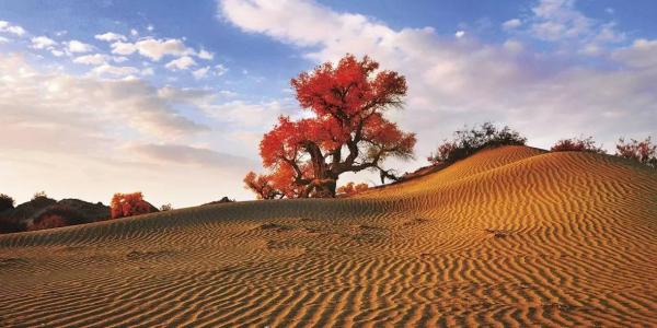 专题摄影艺考培训