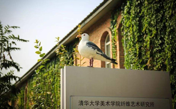 深圳传媒艺考培训班学费多少