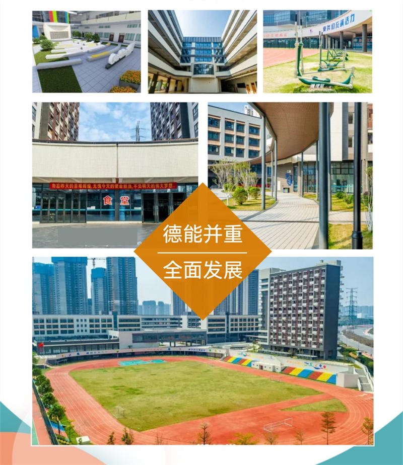 华大星晖高中招生