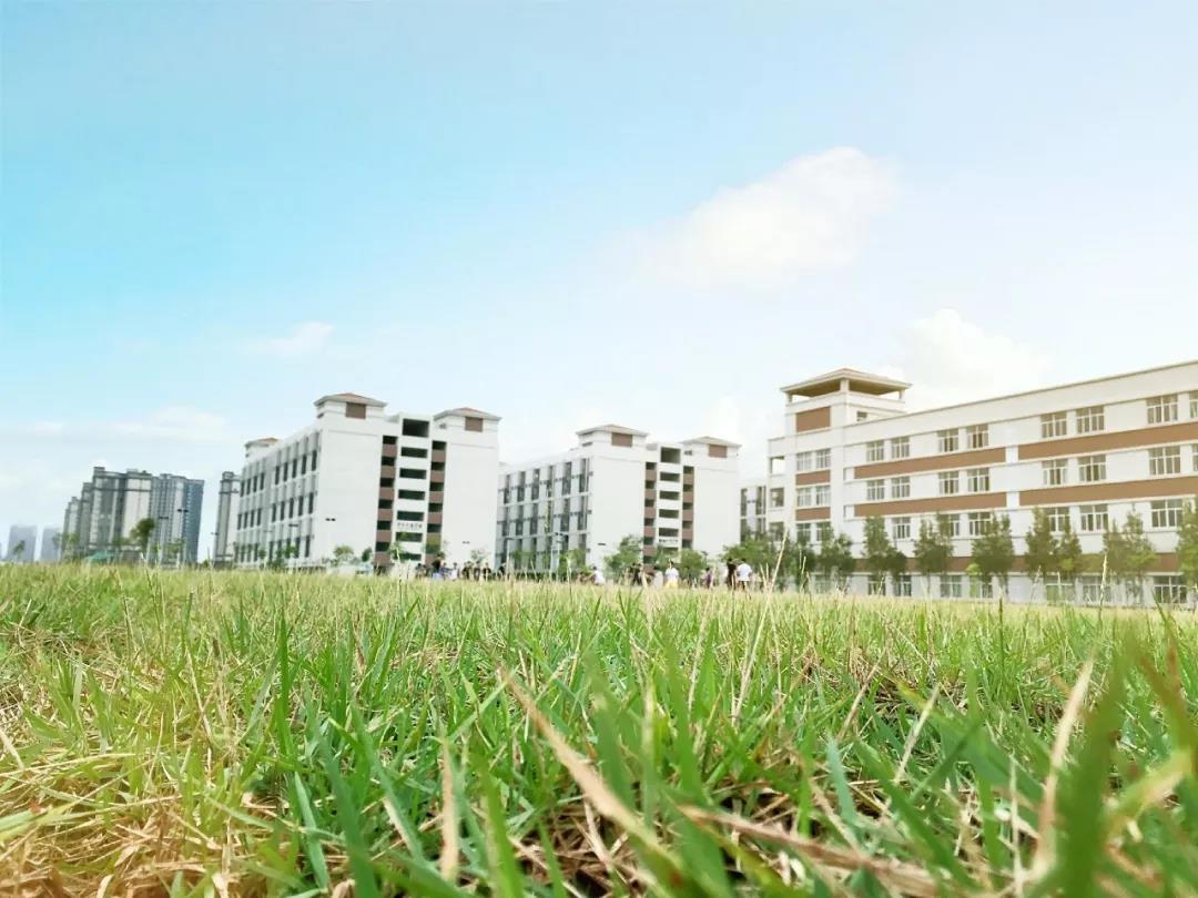 面向湛江二中港城中学音乐、舞蹈、传媒艺术特长生艺考培训班招生简章