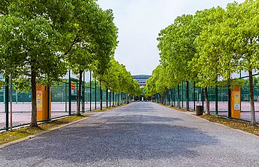 纪录片《互联网时代》一部无愧于时代的优秀作品