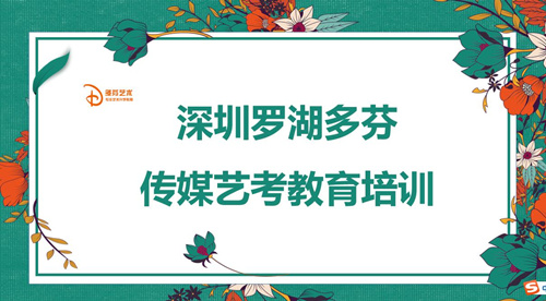 深圳罗湖多芬传媒艺考教育培训