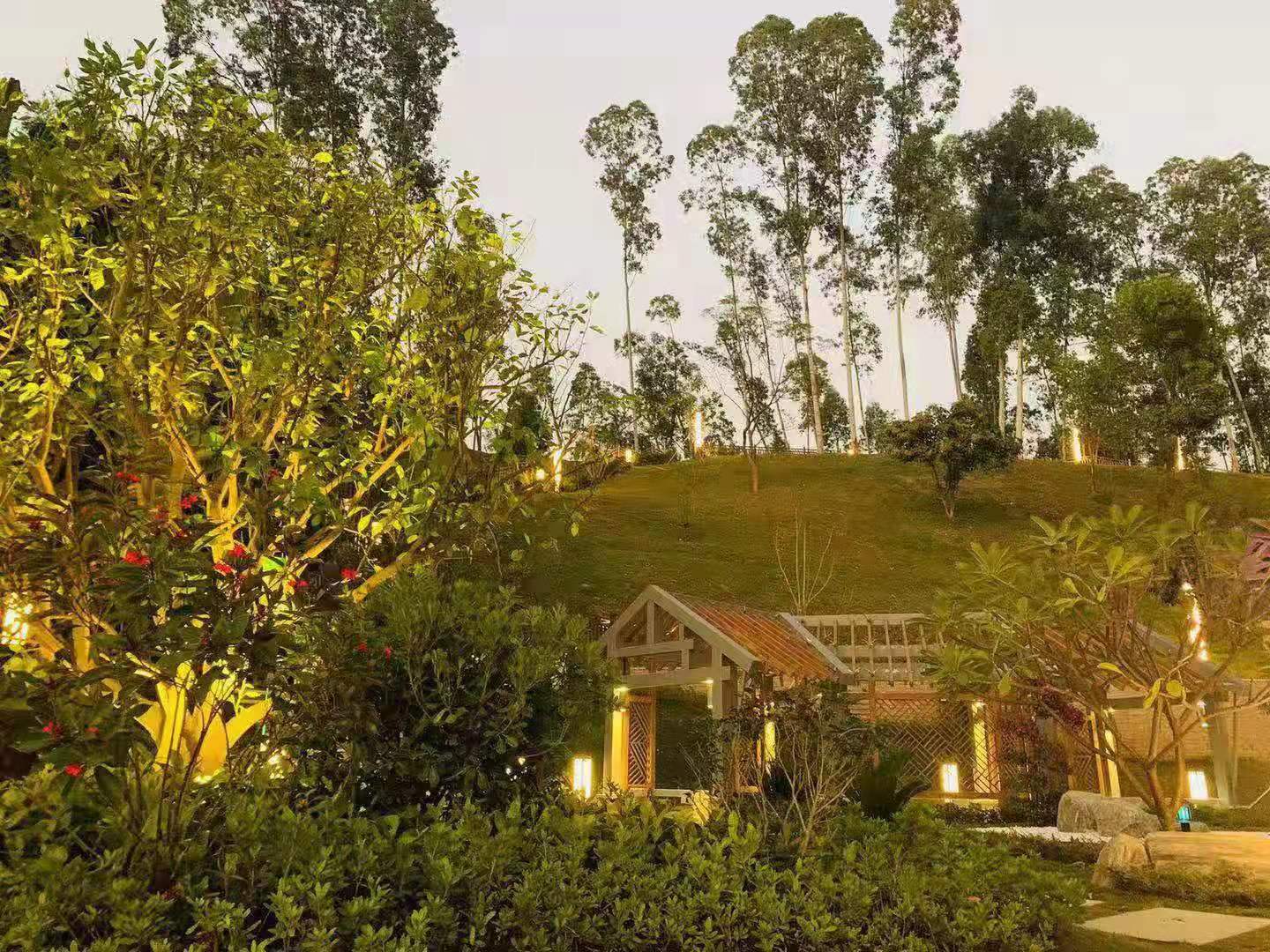 龙岗传媒艺考机构多芬传媒外围环境