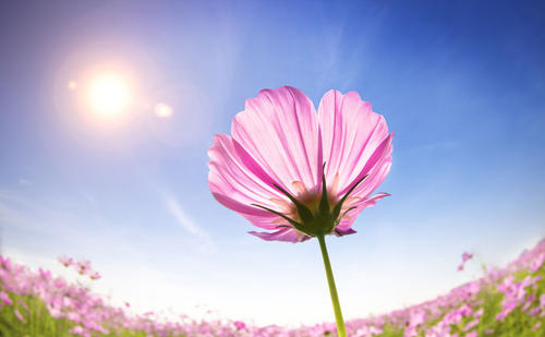 摄影艺考培训阳光摄影法