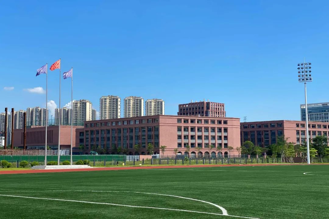 东莞市嘉荣外国语学校校园球场