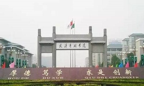 2020武汉传媒学院录取原则