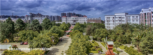 四川电影电视学院2020年各艺术类专业录取原则及综合成绩计算原则