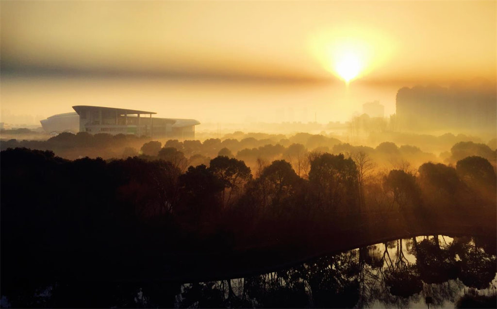 2022年上海视觉艺术学院绘画专业考试科目