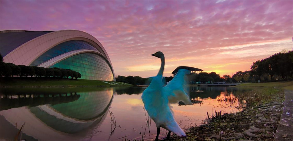 2022年上海视觉艺术学院绘画专业考试科目