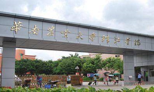 华珠2020年艺术类专业校考第四批成绩查询公告