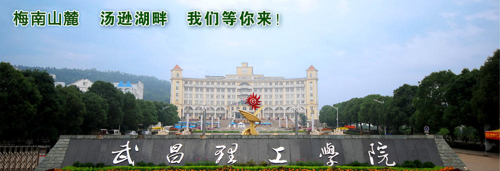 武昌理工学院2022年艺术专业校考合格线