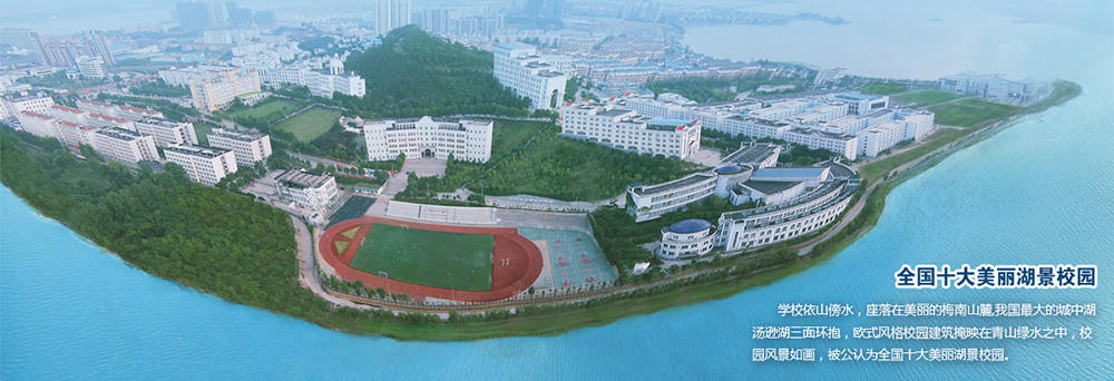 武昌理工学院2022年艺术类招生简章