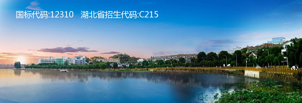 武昌理工学院2022年艺术类招生简章