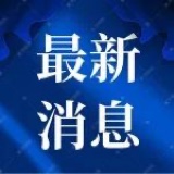 2024年上海市普通高校秋季招生本科各批次录取控制分数线