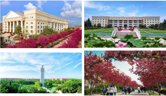 西北大学现代学院2022年艺术类招生简章