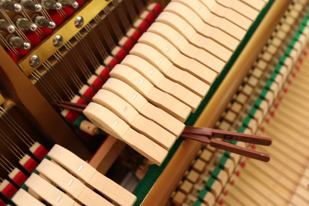 2020年星海音乐学院乐器工程专业考试复习题库