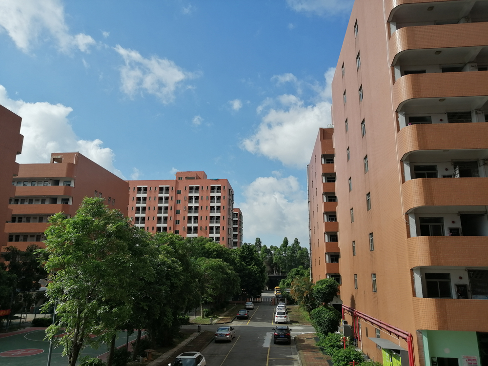 2020年四川传媒学院艺术类校考专业及考试内容