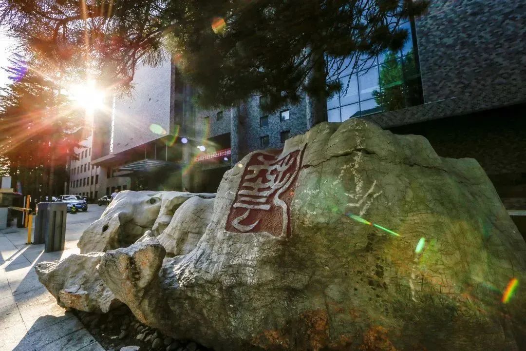 吉林艺术学院关于2020年艺术类专业校考工作调整方案