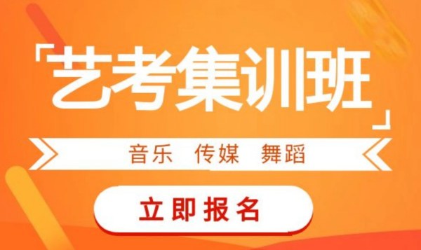 东莞哪里有比较专业的音乐艺考培训班？过来人分享广州儒艺培训