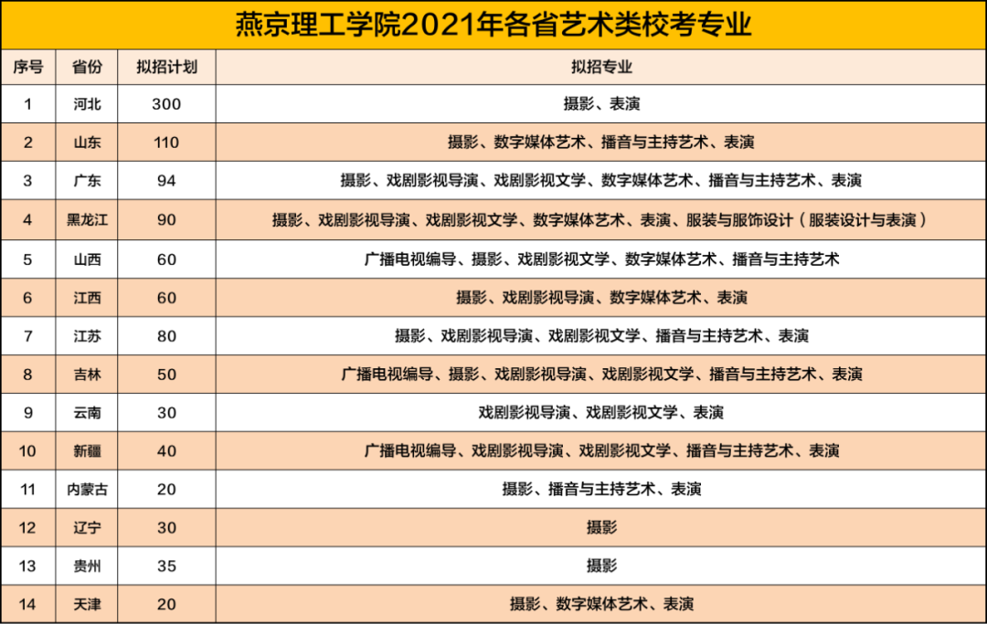 燕京理工学院2021年各省艺术类校考专业